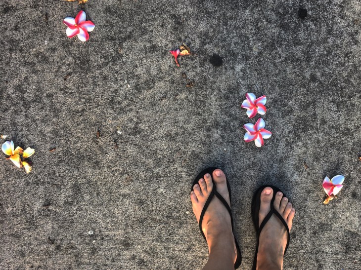 Plumeria Feet