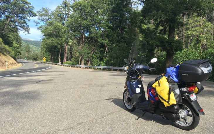 California Mountains Timber Me Ginger